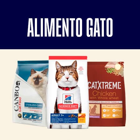 Alimento gato