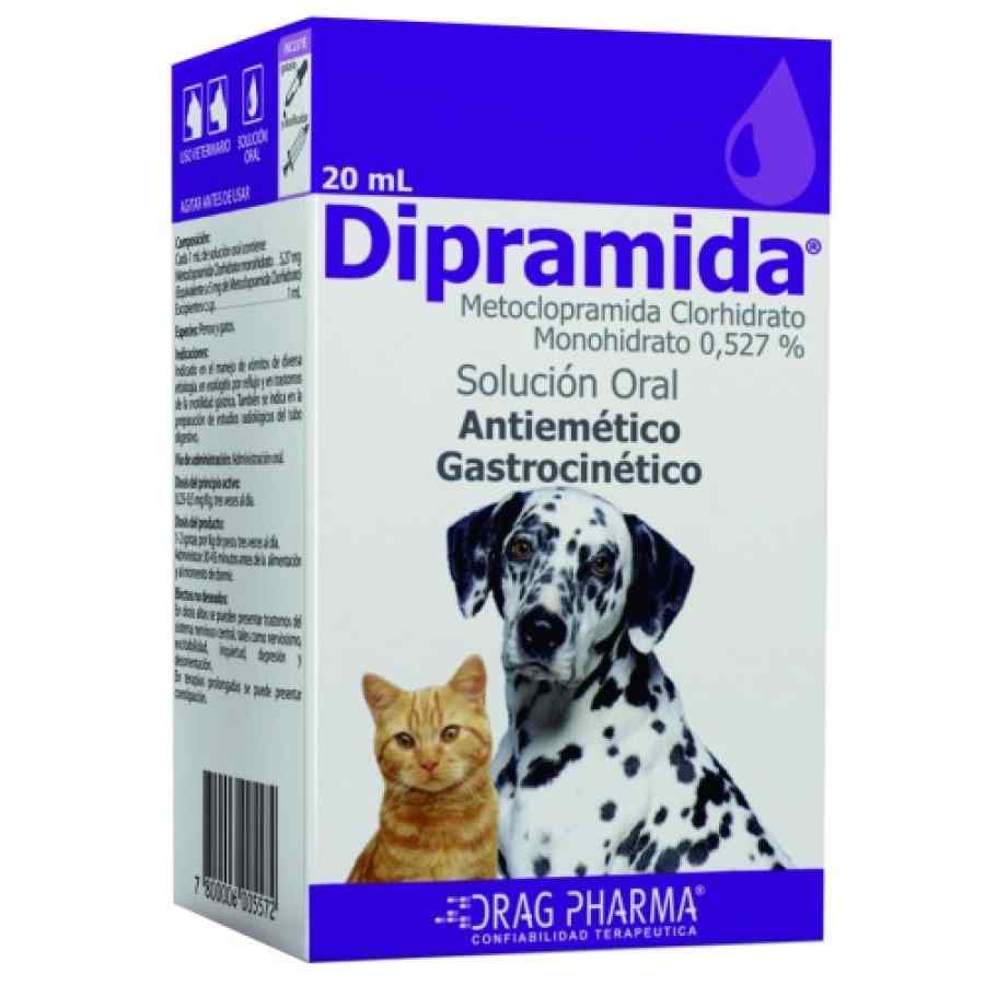 Dragpharma Dipramida (Solución Oral Metoclopramida 0.527%) Frasco X 20 Ml 1130001, , large image number null