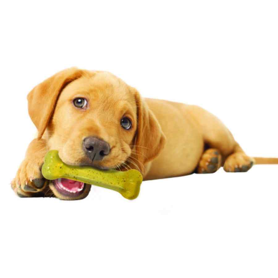 Nylabone Hueso De Pollo Masticable Flexichew, Sabor Pollo, , large image number null