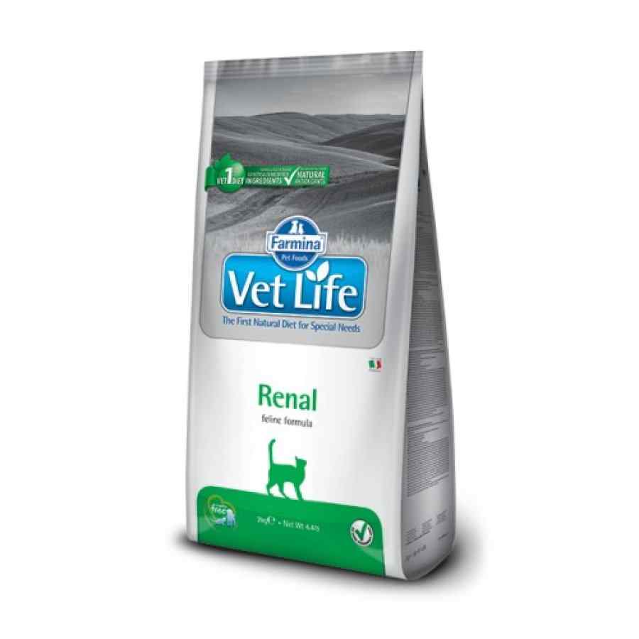 Vetlife Renal 2 Kg