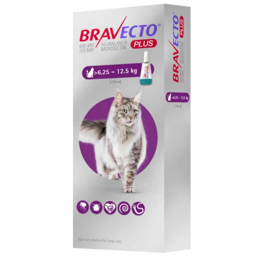 Bravecto Plus 500mg Spot On Cats (6.25kg 12.5kg), , large image number null