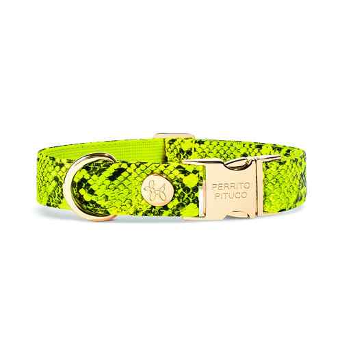 Collar Pythonm Amarillo Neon 