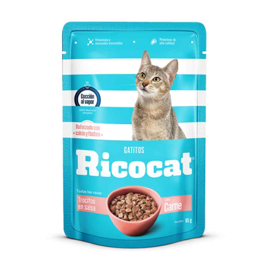 Ricocat Cachorro Trocitos Salsa en Carne Pouch 85 g