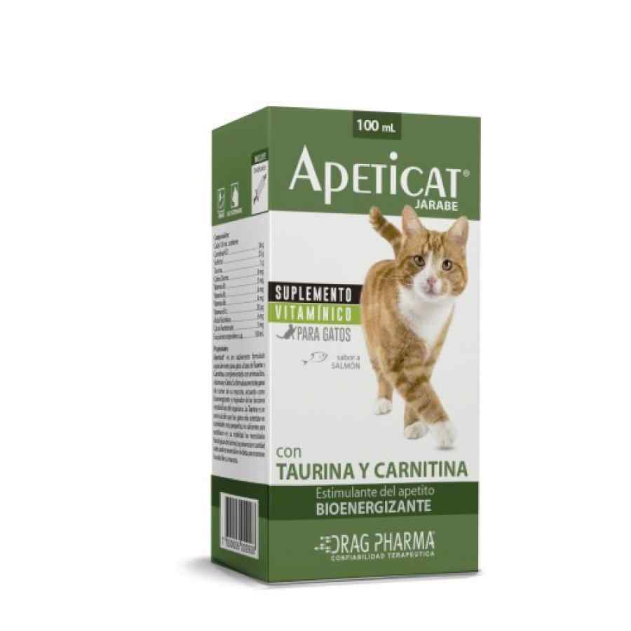 Dragpharma Apeticat Jarabe X 100 Ml