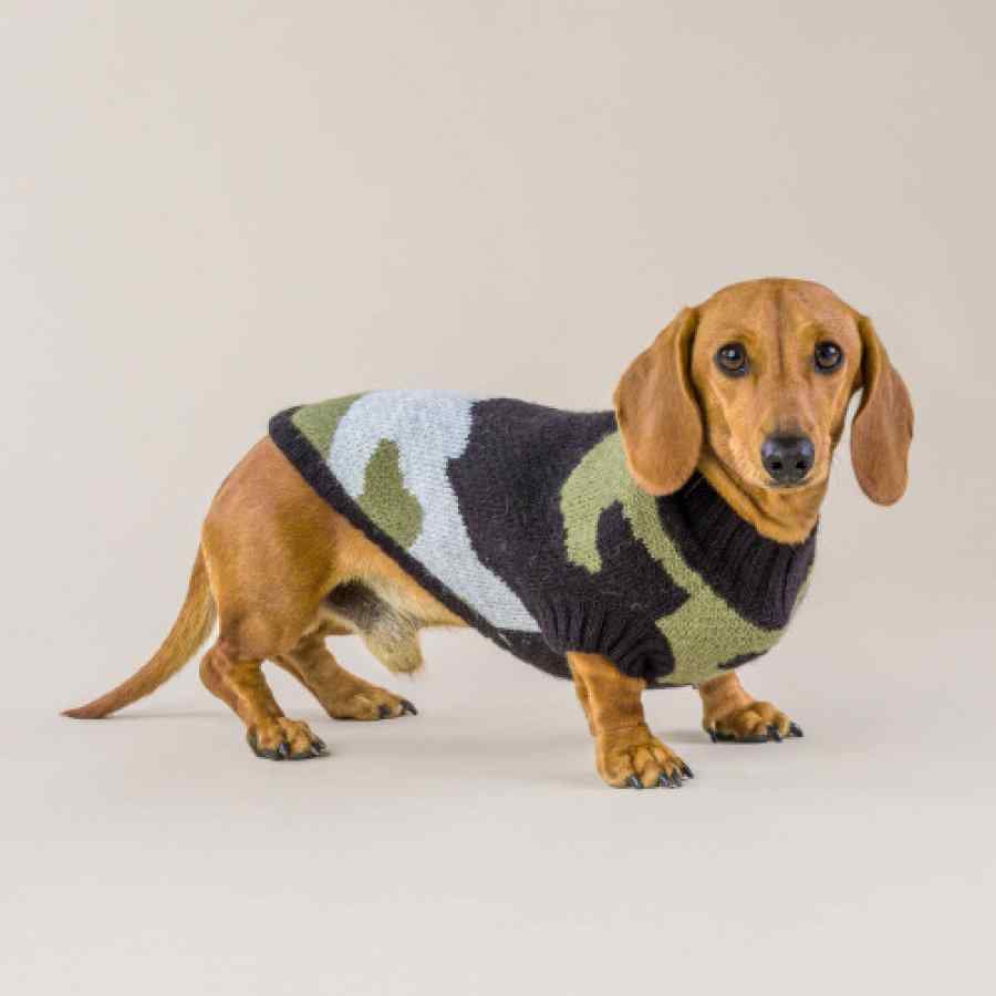 Sweater Para Perro Army Camouflage , , large image number null