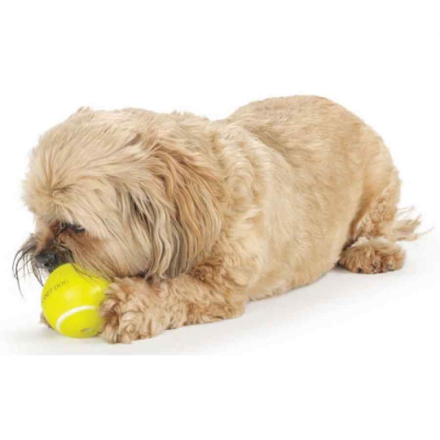 Petstages Tennis Ball Ylw, , large image number null