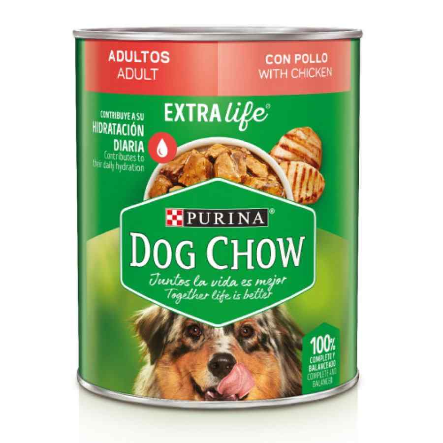 Dog Chow Festival De Trozos De Pollo 100 g