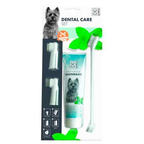 Set dental sabor menta, , large image number null