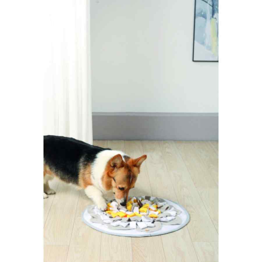 Stratege mat interactivo circular para alimento, , large image number null