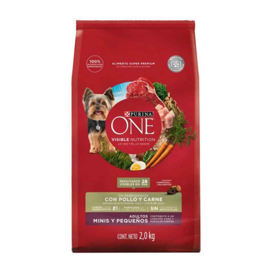 One Adultos Minis Y Pequeños Carne 2Kg Alimento Seco Perro