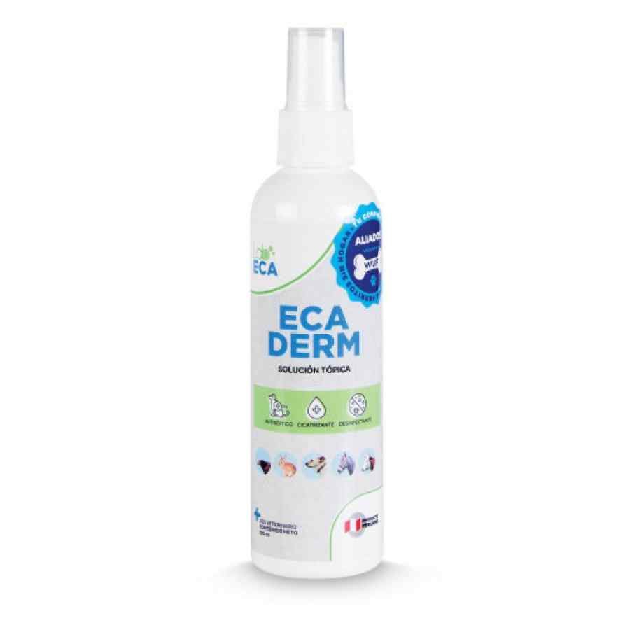 Antibacterial Ecaderm 1 Spray x 120 Ml, , large image number null