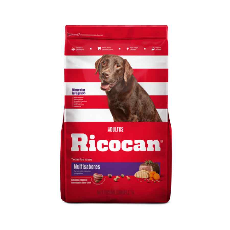 Ricocan Adulto Multisabores Todas Las Razas 