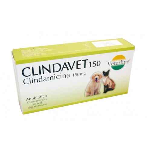 Clindavet / Clindamicina 150mg Antibiotico Blister