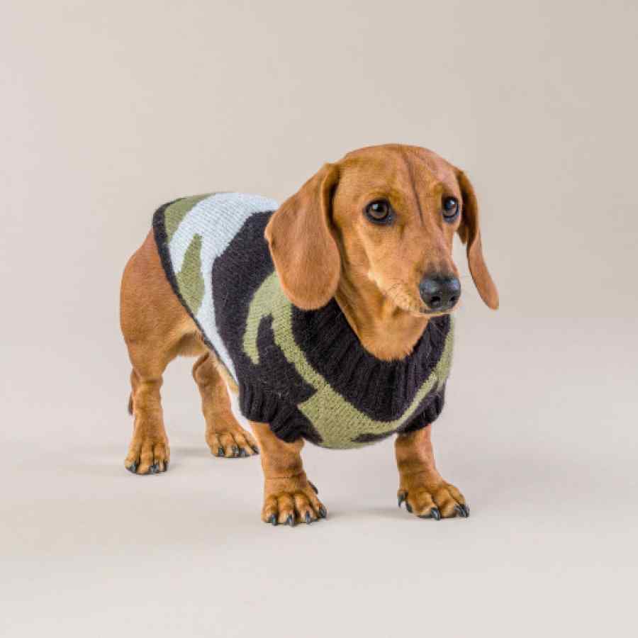 Sweater Para Perro Army Camouflage , , large image number null